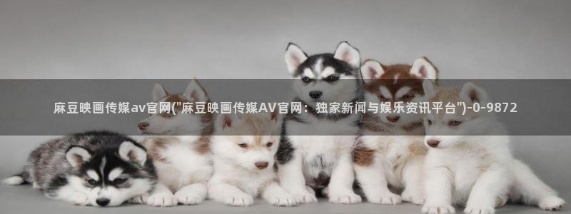 麻豆传媒官网进不去：麻豆映画传媒av官网(\