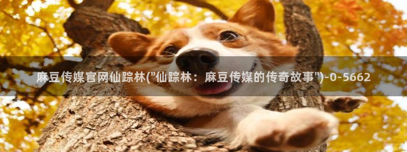 91麻豆传媒官网是：麻豆传媒官网仙踪林(\