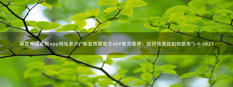 麻豆音画传媒官网：麻豆传媒官网app网址多少(\