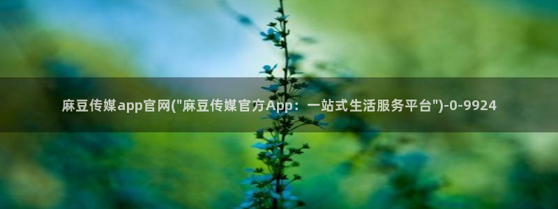 麻豆传媒官网西瓜：麻豆传媒app官网(\