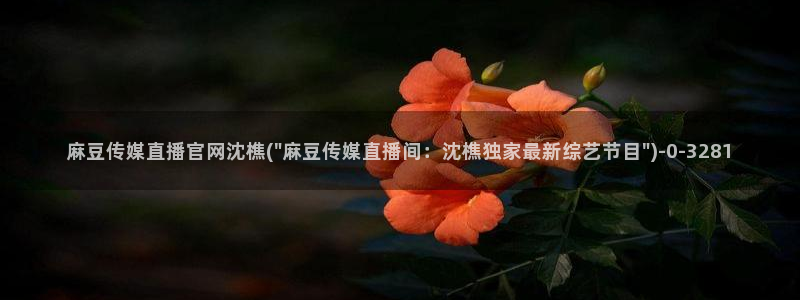 麻豆传媒直播官网在线：麻豆传媒直播官网沈樵(\
