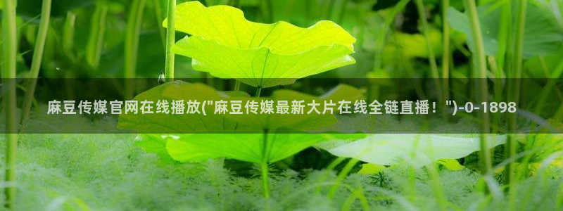 台湾麻豆传媒官网 警察：麻豆传媒官网在线播放(\