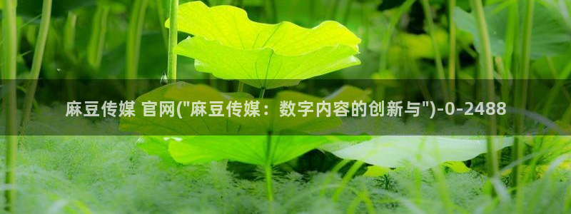 麻豆传媒官网全集：麻豆传媒 官网(\