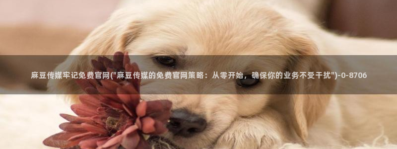 麻豆传媒官网影音先锋：麻豆传媒牢记免费官网(\