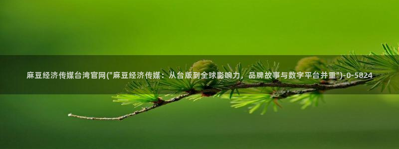 麻豆传媒官网免费看：麻豆经济传媒台湾官网(\