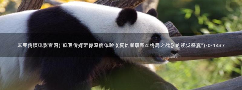 麻豆床传媒官网：麻豆传媒电影官网(\