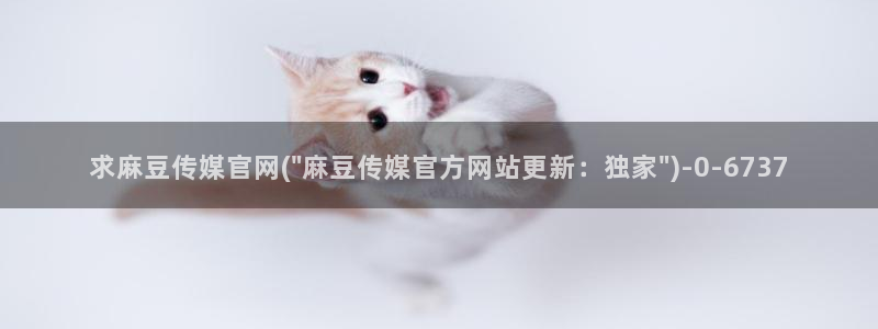 麻豆madou传媒官网：求麻豆传媒官网(\