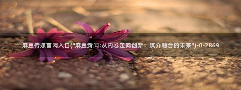 麻豆传媒官网入囗：麻豆传媒官网入口(\