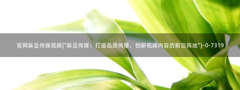 麻豆传媒官网刺青：官网麻豆传媒视频(\