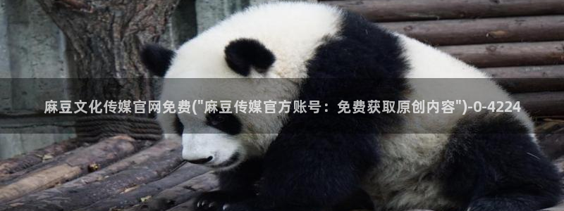 麻豆传媒直播官网小说：麻豆文化传媒官网免费(\