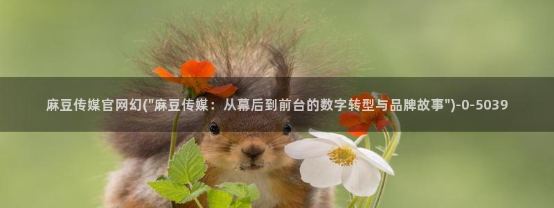 麻豆传媒官网iOS：麻豆传媒官网幻(\