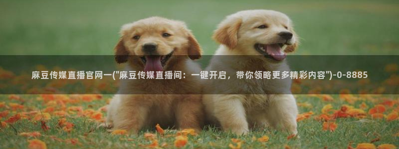 麻豆啊传媒app官网黄
