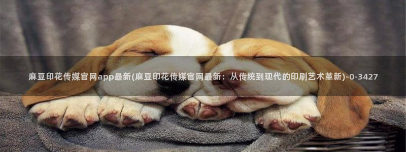 麻豆传媒系列官网